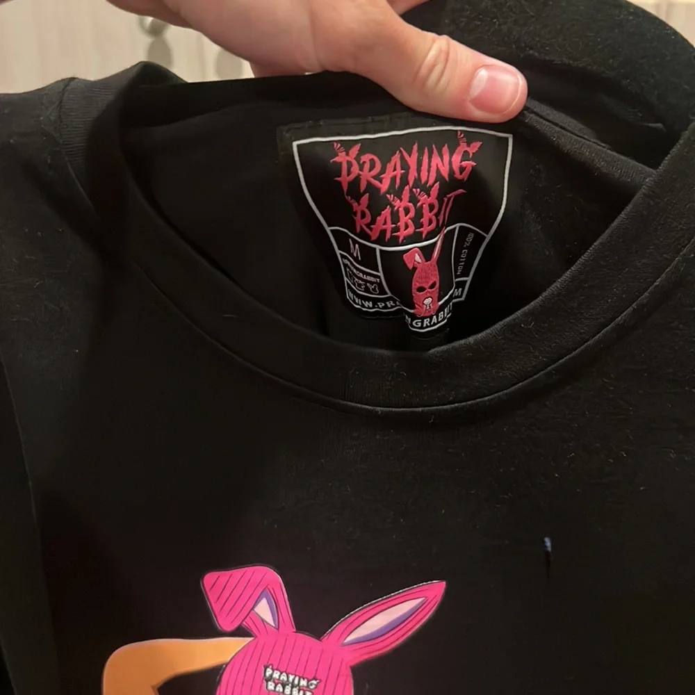 Praying rabbit - Picture 2 of 2